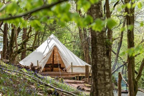Dolanog Other | Cuddfan Bach (The Little Hideaway) at Camp Plas