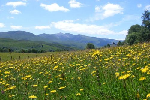 Roybridge House | Cul Darach Lodge, Glen Roy Nature Reserve