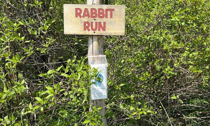 Petoskey RV Rental | Cute little campground -campsite in Petoskey with nature views