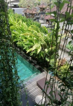 Babakan Hotel | D'tegal Guest House-Pool&Fast WiFi near Canggu Beach