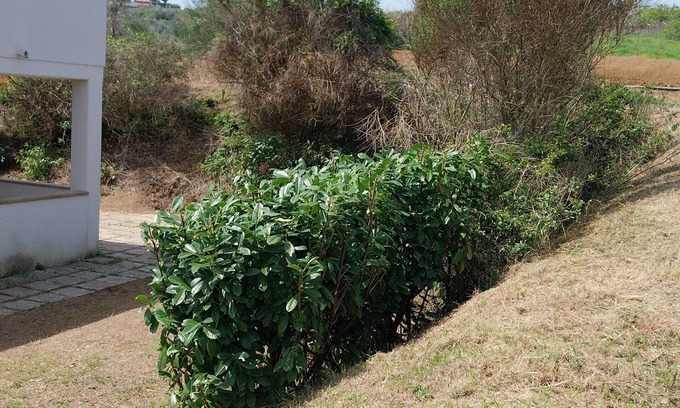 Torrevecchia Teatina Apartment | " Da Lucia" Immersed in nature!