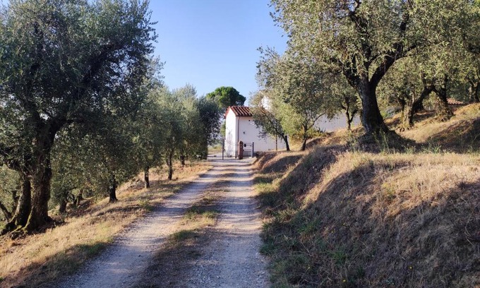 Buggiano House | Da Poldino