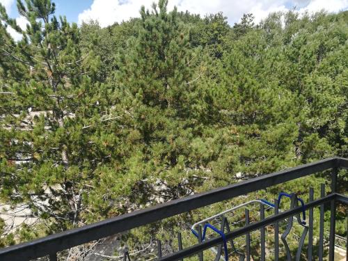 Pieve Santo Stefano Apartment | Da Santina