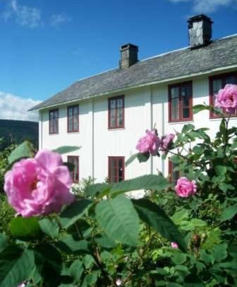 Oystre Slidre House | Dale Gård