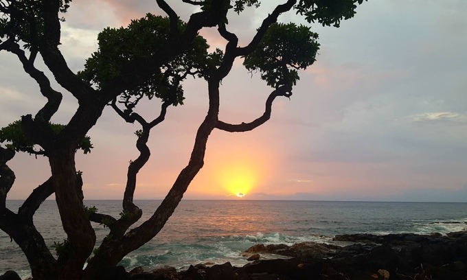 Kailua-Kona Condo | DAZZLING OCEAN VIEW, Oceanfront Complex close to town, dining & shopping