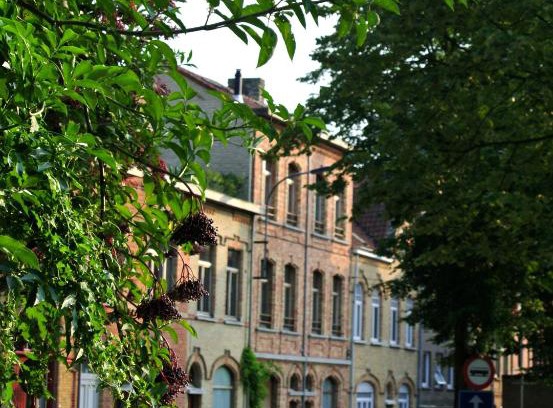 Ypres House | De Buur Van Beer