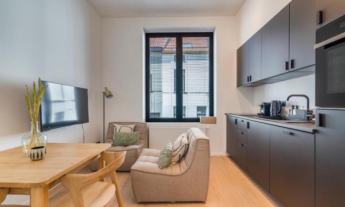 Strop Apartment | Design Studio Gent nabij station, musea ¢rum