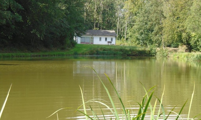 Florennes House | Deux étangs poissonneux au milieu des bois avec gîte moderne, la halte des deux lacs