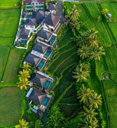 Sebatu Villa | Dewi Kunti Villa