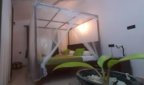 Dickwella Villa | Dickwella Green Villa