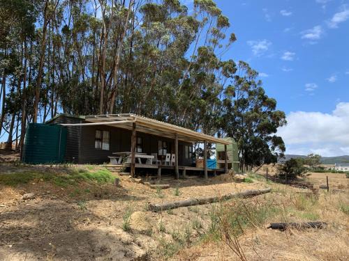 Caledon House | Die Boomhuis