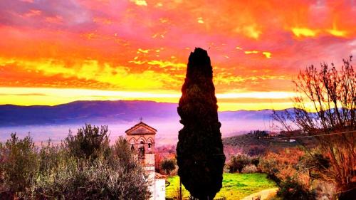 Montefalco Bed & Breakfast | Dimora del falco