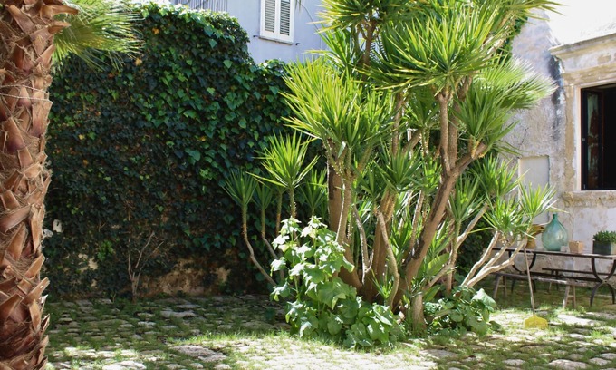 Centro Storico Apartment | Dimora di German by Symphonya Rentals