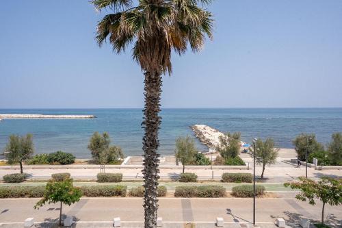 Municipio 3 Apartment | Dimora Waterfront