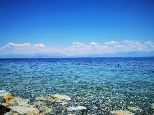 Evrostina Apartment | Dimos Apartments