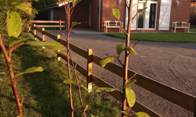 Nordholz House | Directly behind the dyke. In the midst of nature. Year of construction '13, W-LAN, TV, ground floor