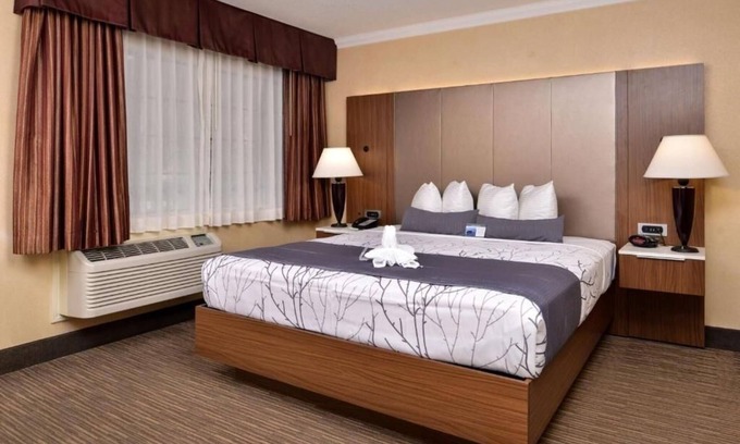 Hollywood Hotel | Discover Hollywood Bliss from This Cozy Room Near Local Landmarks