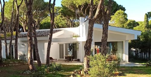 Los Franceses-la Vega House | Diseño y luz entre los pinos