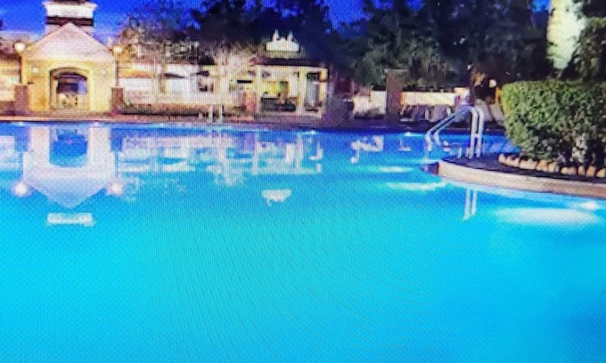 Lake Buena Vista Hotel | DISNEY SARATOGA SPRINGS RESORT & SPA-ORLANDO