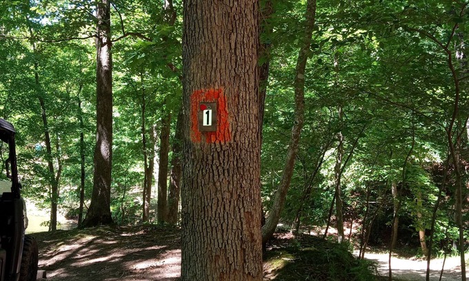 Sunrise Beach RV Rental | DnD Campground Site 1 Private Lake Front Primitive Campsite