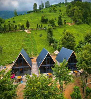 Ayder Ski Chalet | Doğallife suit bungalow