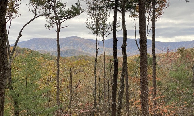 Cherry Log Cabin | Dog friendly, 2/2 w/kings, Mtn view! Fire pit, Wifi, gas logs. Cherry Log MTN !