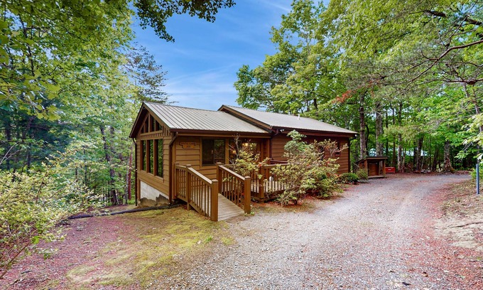 Blue Ridge Cabin | Dog-friendly cabin with private grill, full kitchen, and foosball