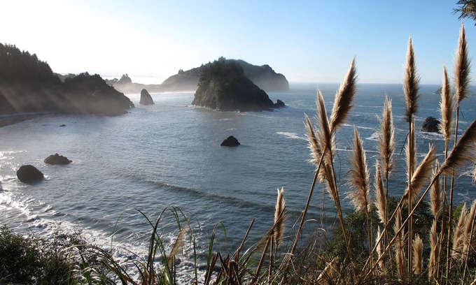 Arcata Apartment | Dog-friendly studio cottage with deck - close to the desirable Fickle Hill area