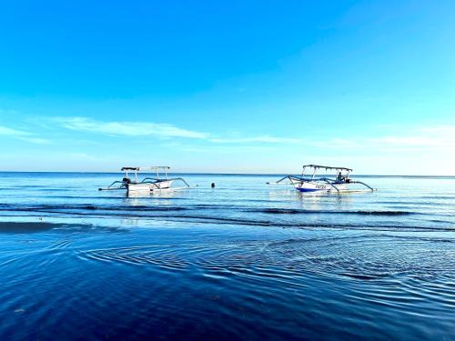 Kalianget Villa | Dolphin Tour Private Villa Packet At Seririt