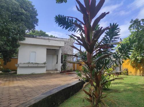 Sava House | Domaine Fahasoavana