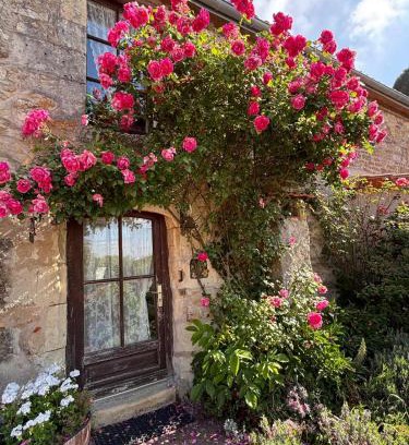 Doue-en-Anjou House | Domaine les roses du vieux chai