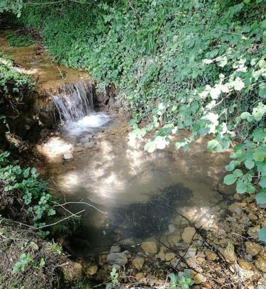 Champagnat Apartment | Domaine Moulin de Quincenat