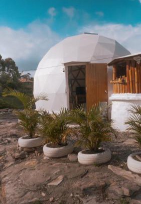 Piedecuesta Other | Dommo La Mesa