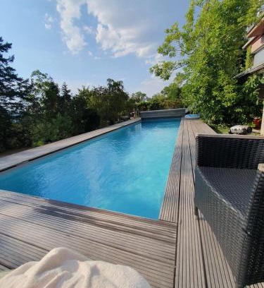 Horchheim Apartment | Doppelzimmer mit neuem Bad und Sportpool-Nutzung außen, im basement cellar der Villa Naturpark, Garten mit Rheinblick