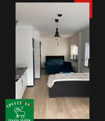 19e Eeuwse Schil Apartment | Dordrecht