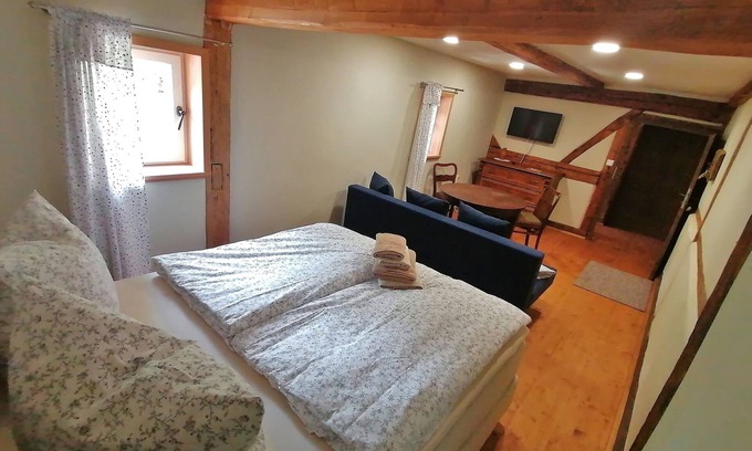 Seifhennersdorf Apartment | Double room for 3 guests with 19m² in Seifhennersdorf (273160)