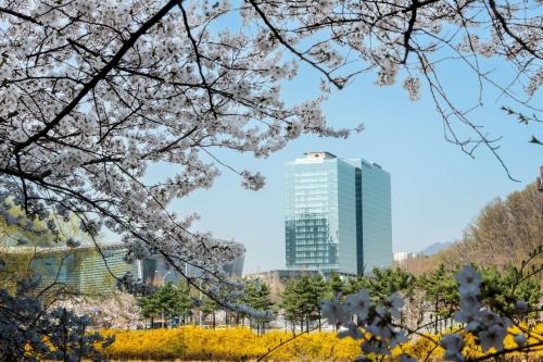 Bundang-gu Hotel | DoubleTree By Hilton Seoul Pangyo Residences