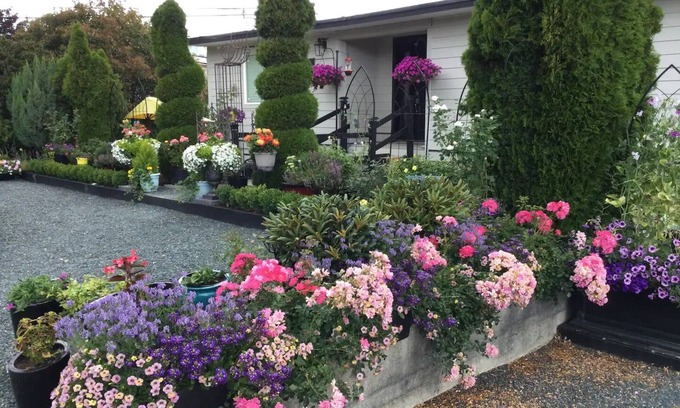 Regional District of Nanaimo House | Downtown Parksville at The Bent Tree! n