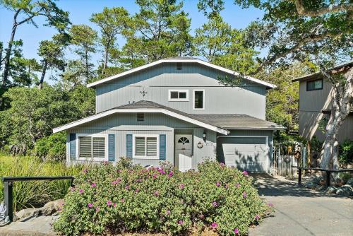Marine Terrace House | Dreydon Cottage