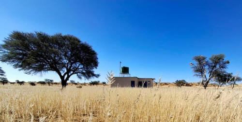 Namibia Other | Duineveld Kalahari Camp