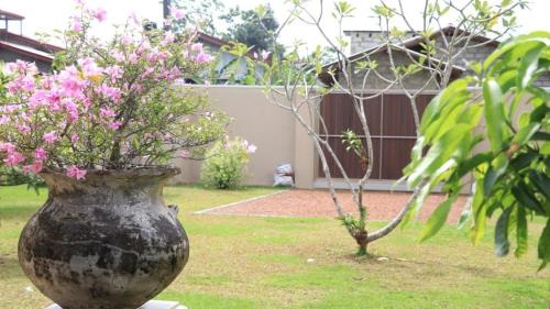 Bentota House | Dunest Villa