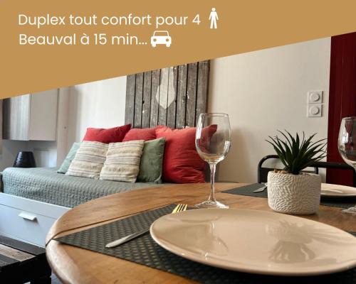 Selles-sur-Cher Apartment | Duplex/Beauval & Châteaux