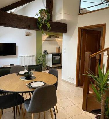 Blois Apartment | Dupplex, centre ville