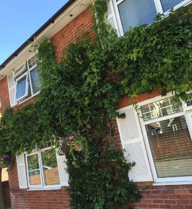 New Forest District Bed & Breakfast | Durlston House