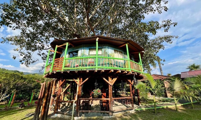 Pereira Cabin | Eco Cabañas Green Eden