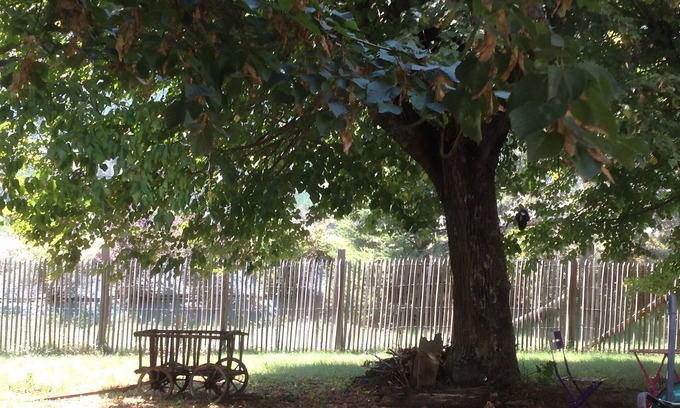 Die House | Eco-Logis du Clos des Tilleuls Gîte with Mountain View, Shared Terrace and Garden