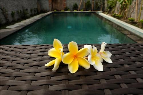 Pengosekan House | Eka Bali Guest House