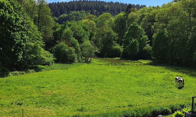 Kempenich Apartment | EL MIRADOR - Holiday apartment near Nürburgring - Eifel - Laacher See - Ahr