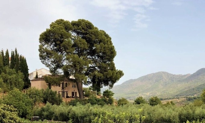 Albunuelas Apartment | El Pino Retreat Apartment