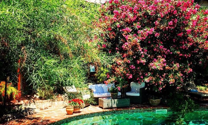 Bodrum City Center Hotel | El Vino Hotel & Suites